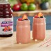 Dr. Smoothie 100% Crushed Four Berry Fruit Smoothie Mix 46 fl. oz. WS-103DR100FOUR